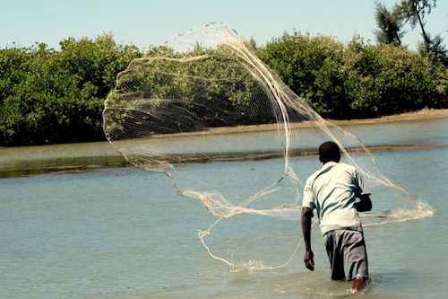Au Togo, l'usage des filets de pêche similaires aux moustiquaires est interdit