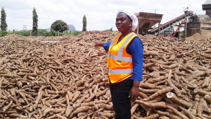 Réussite : une femme gagne 6 milliards FCFA en vendant du manioc
