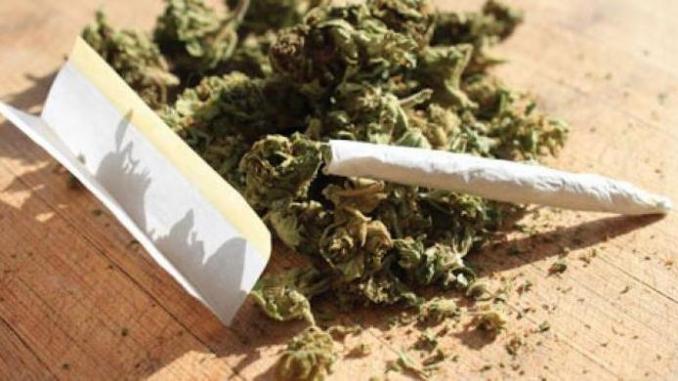 Togo : vers la dépénalisation du cannabis ?
