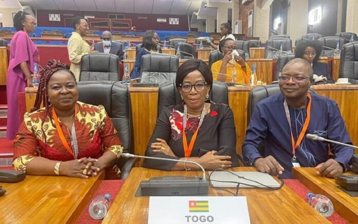 Togo- 47è session de l’Assemblée Parlementaire de la Francophonie à Kigali : Une délégation de parlementaires participe aux travaux