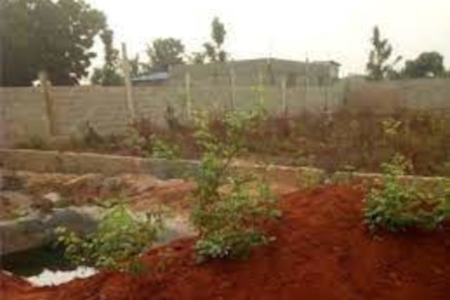 Togo / Litige foncier à Bolou (Tsévié) : Le chef canton cité dans une vente frauduleuse de terrain