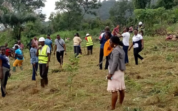 Togo-Reboisement : 500 plants mis en terre sur le site cascade de Womé