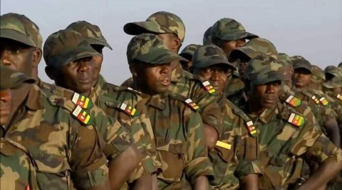 The Togolese army repels a new attack in the north