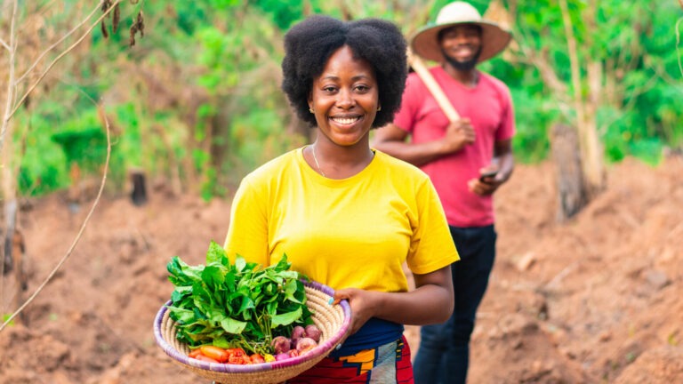 Togo: tout sur le forum des producteurs agricoles de Dapaong