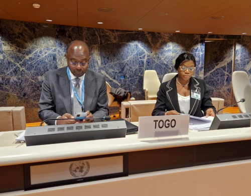 Droit des personnes handicapées : le rapport du Togo examiné à Genève
