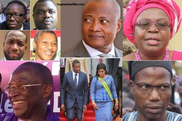 Togo : quand la classe politique devient « une maladie mentale » pour la diaspora