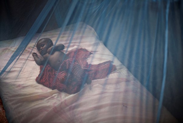 Paludisme : une distribution gratuite de moustiquaires imprégnées démarre le 07 octobre