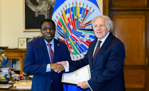 Diplomatie : le Togo rejoint l’Organisation des Etats Américains (OEA)