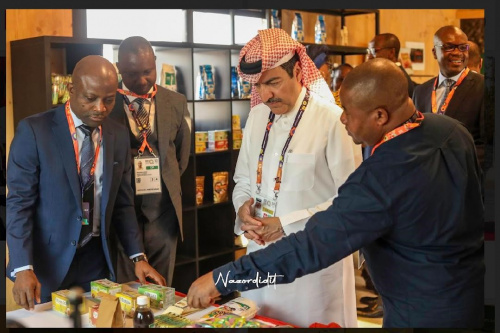 Expo 2023 : à Doha, le Togo présente ses atouts horticoles